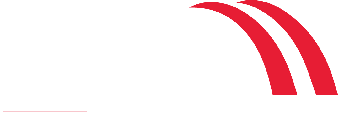 link bridge logo white